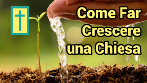 Scopri di più sull'articolo Come Far Crescere una Chiesa